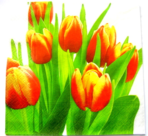 servetel hartie cu lalele