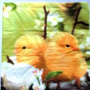 servetel hartie cu puisori de gaina si flori 0372