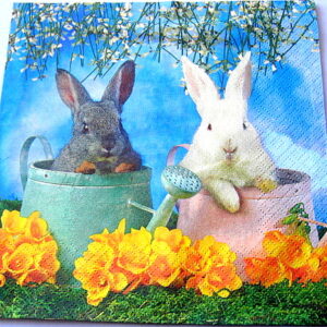 servetel hartie iepurasi 0542