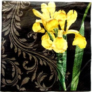 servetel hartie cu iris pe fond negru 0770