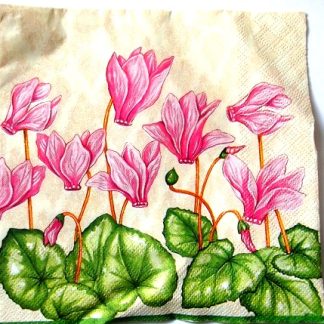 servetel hartie cu Cyclamen 0861