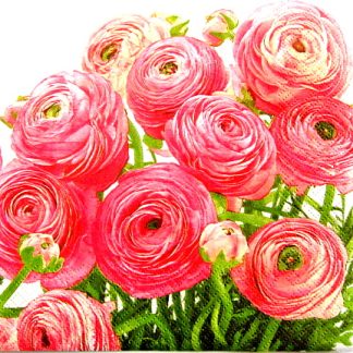 servetel hartie cu bujori 0947