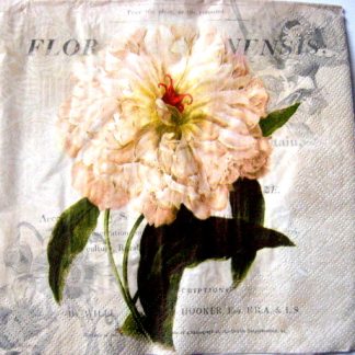 servetel hartie cu bujori 0979