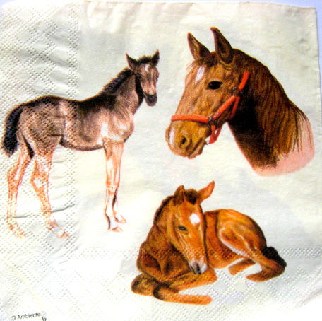 servetel hartie cu cai 1071