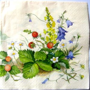 servetel hartie cu fragute  1078