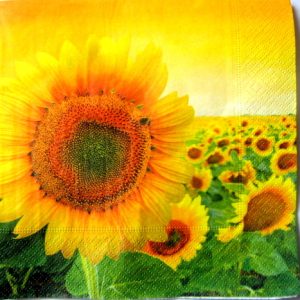 servetel hartie cu floarea soarelui 1080