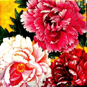 bujori, servetel, servetel bujori, servetel cu bujori, servetel decorativ, servetel hartie, servetel hartie cu bujori, servetel hartie cu flori, servetele, servetele decorative, servetele tehnica servetelului, tehnica servetelului